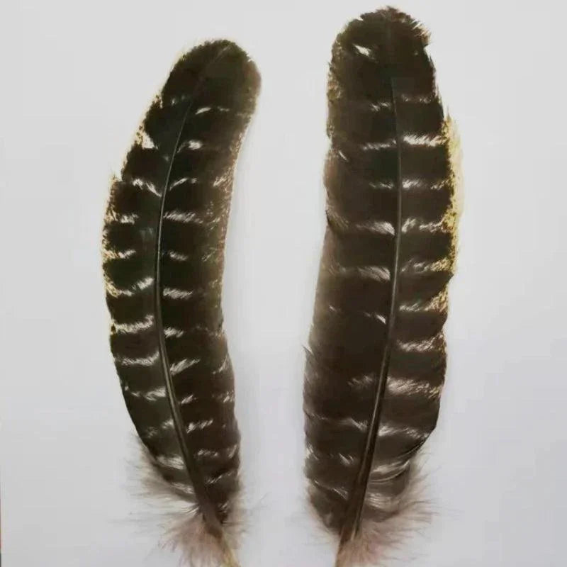 Belles Plumes de Dinde Naturelles - Litho Natura