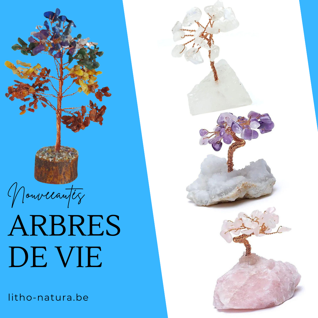 L’Arbre de Vie : signification, origine et symbolique
