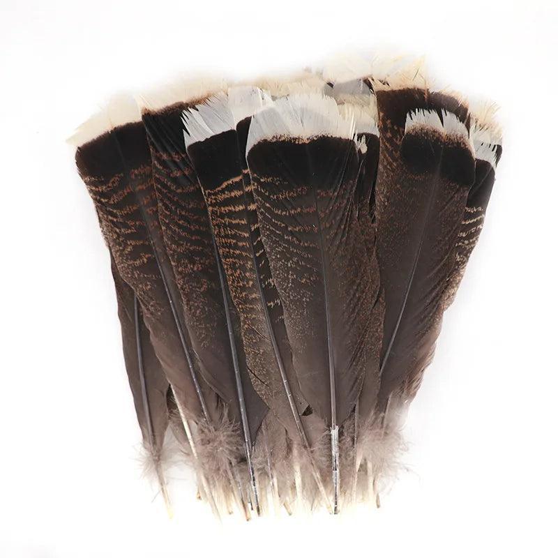 Belles Plumes de Dinde Naturelles - Litho Natura