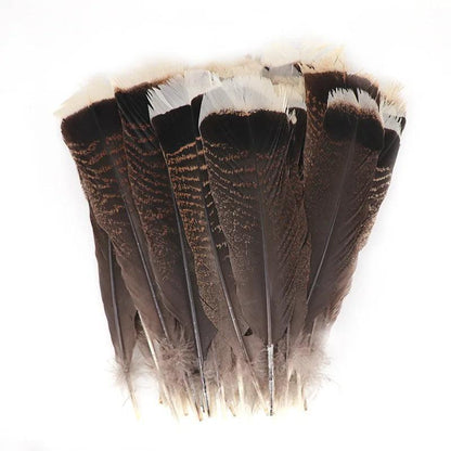 Belles Plumes de Dinde Naturelles - Litho Natura
