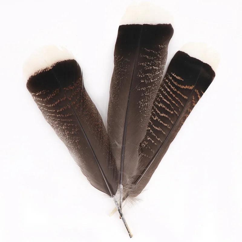 Belles Plumes de Dinde Naturelles - Litho Natura