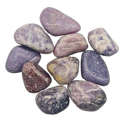 Pierres Naturelles Roulées Lépidolite - Qualité A - Litho Natura