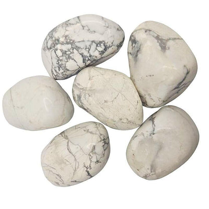 Pierres Naturelles Roulées Howlite - Qualité A - Litho Natura