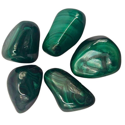 Pierres Naturelles Roulées Malachite - Qualité A - Litho Natura
