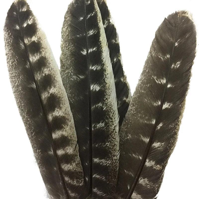 Belles Plumes de Dinde Naturelles - Litho Natura