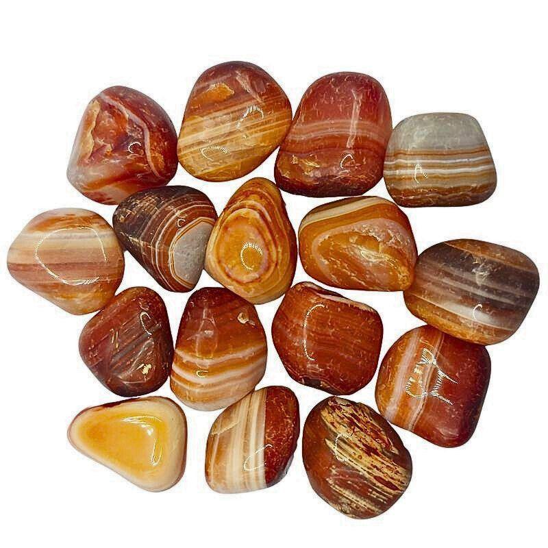 Pierres Naturelles Roulées Agate Sardonyx Rouge - Qualité A - Litho Natura