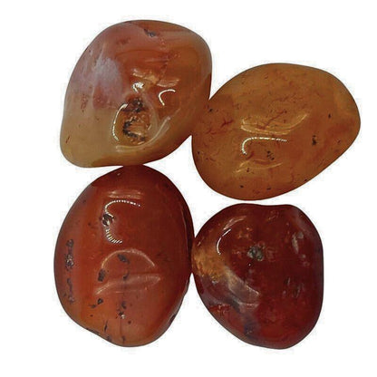 Pierres Naturelles Roulées Cornaline - Qualité A - Litho Natura